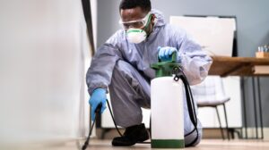 Your Guide to Pest Control on Long Island: Say Goodbye to Unwanted Guests