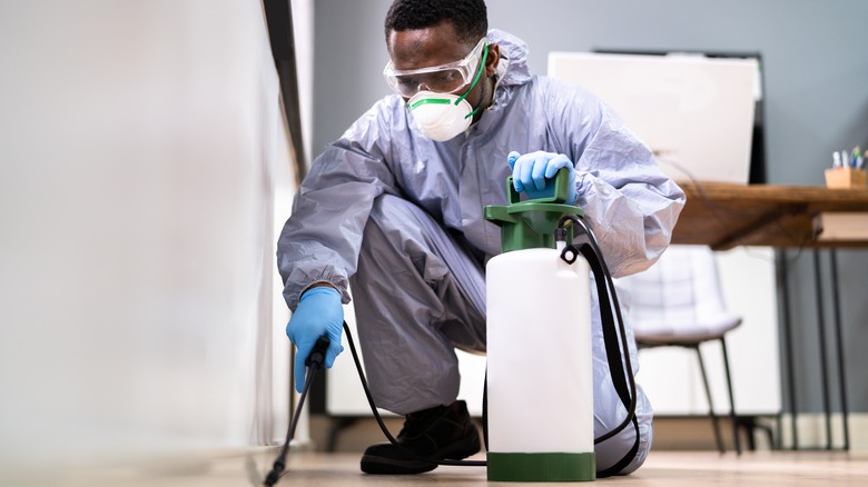 pest control