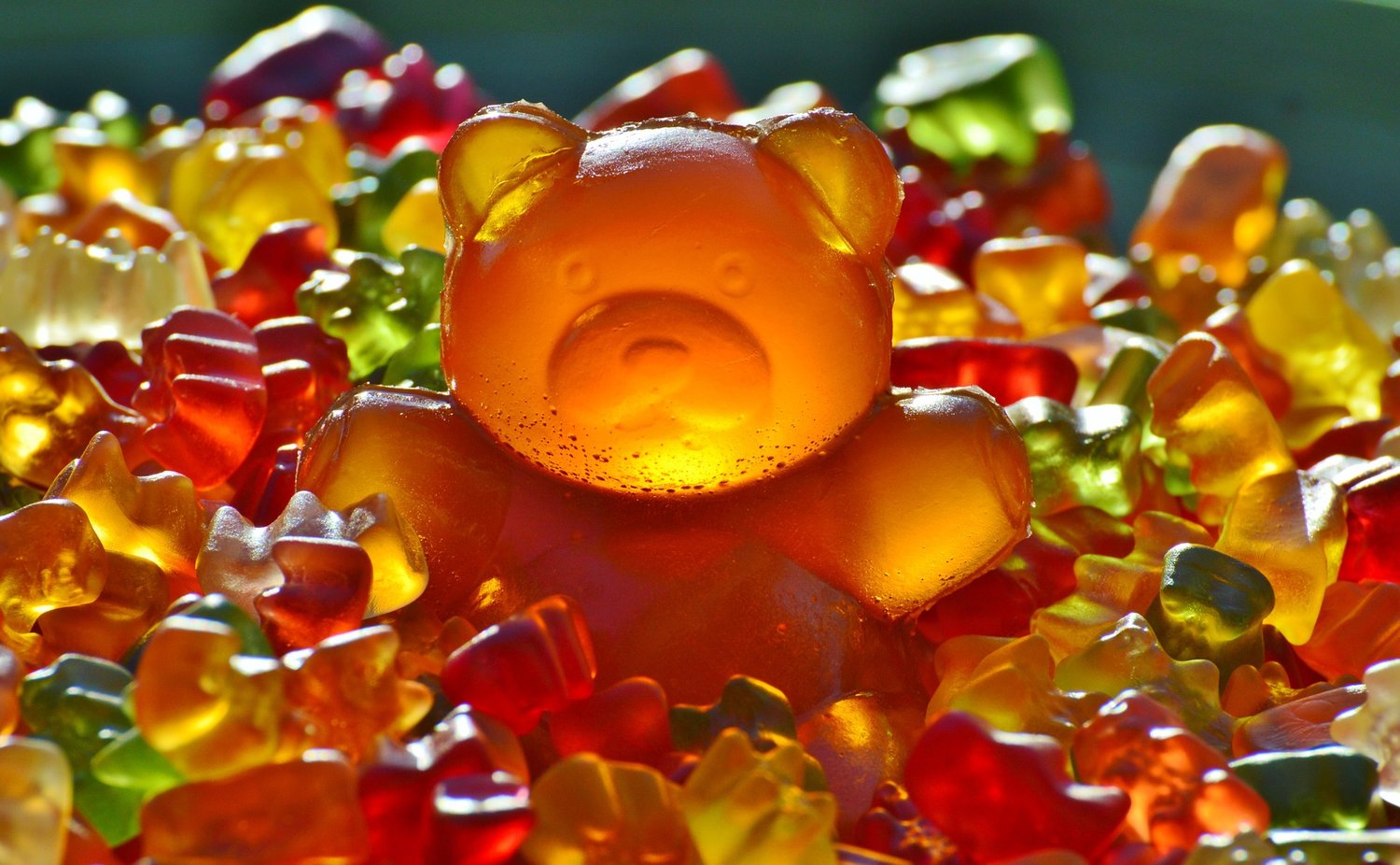 delta 8 gummy cubes
