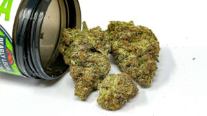 Exhale Wellness