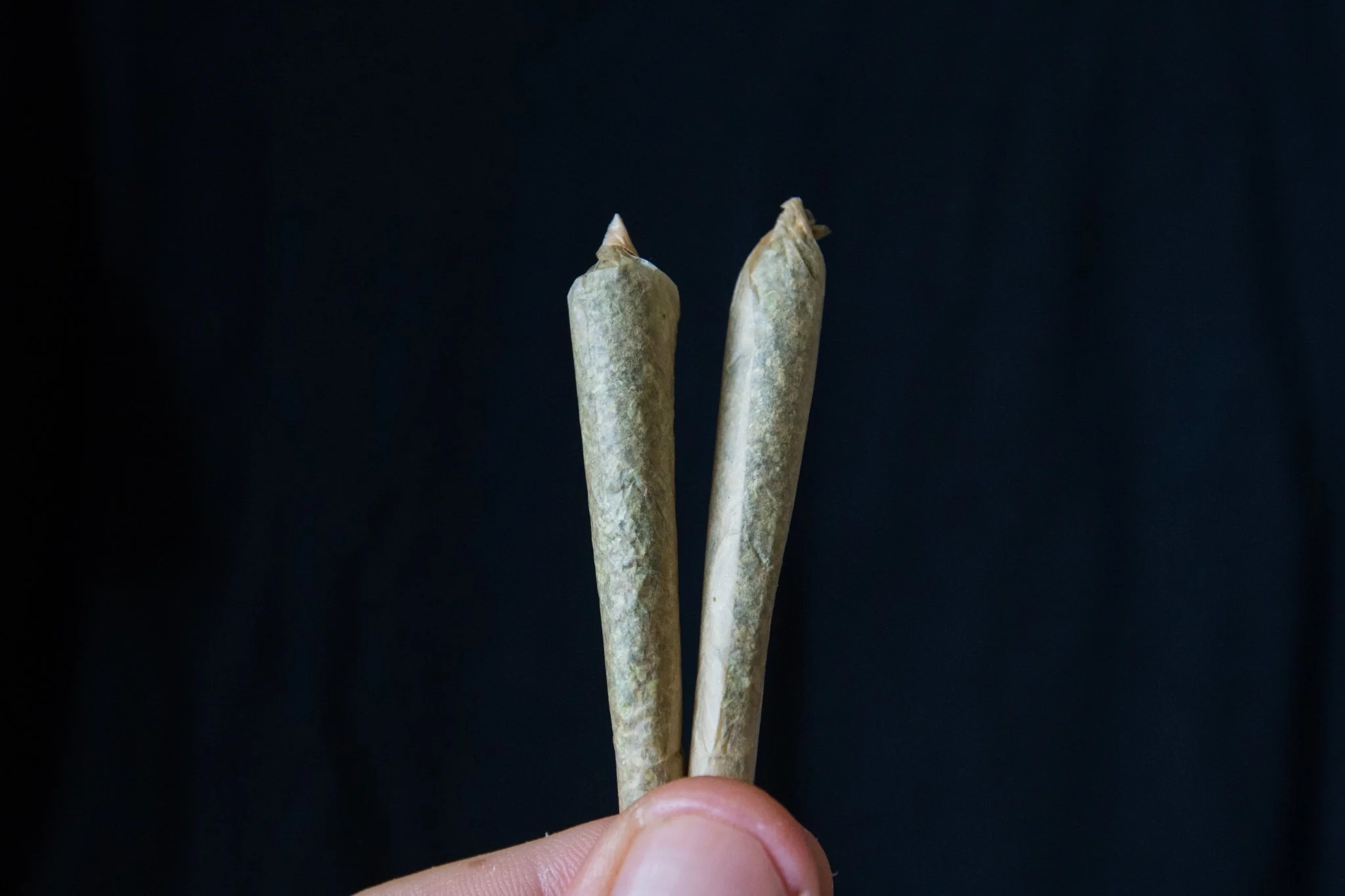 premium delta 8 pre-rolls