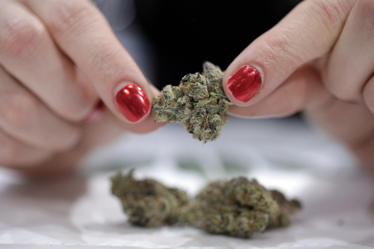 shop hhc flower from exhale