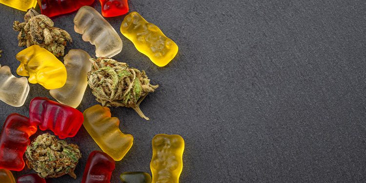 A Buyer's Guide to Choosing Delta 9 THC Gummies